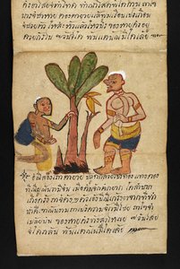 Lub. 16482, f.21 „Satra”  O wróżbiarstwie i poradach dotyczących szczęśliwego i zdrowego życia (książka składana papierowa) autorstwa Thai School