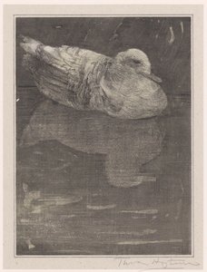pływająca kaczka autorstwa Theo van Hoytema (signed by artist)