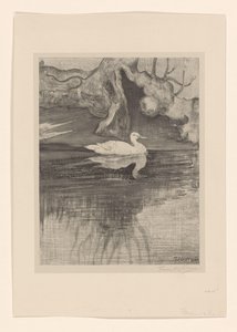Staw z kaczką autorstwa Theo van Hoytema (signed by artist)