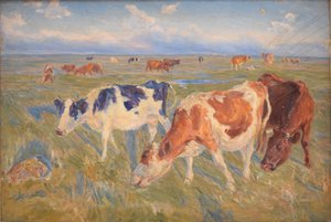Wypas krów na wyspie Saltholm