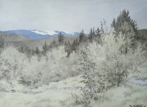 Daleko daleko w lesie autorstwa Theodor Kittelsen