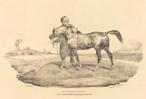 Koń Arabski autorstwa Theodore Gericault