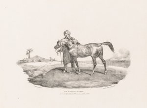 Koń arabski autorstwa Theodore Gericault