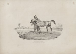 Koń arabski autorstwa Theodore Gericault