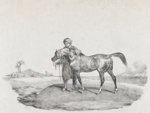 Koń arabski, 1821 autorstwa Theodore Gericault