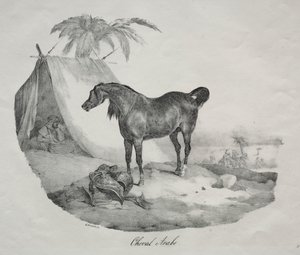 Arabski Koń autorstwa Theodore Gericault