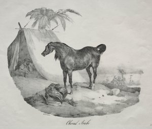 Koń arabski autorstwa Theodore Gericault