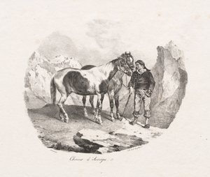Konie z Owernii autorstwa Theodore Gericault