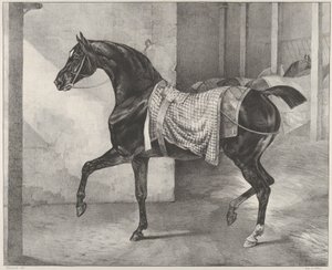 Czarny koń przywiązany w stajni autorstwa Theodore Gericault