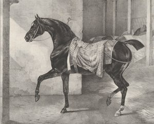Czarny koń uwiązany w stajni, 1822. autorstwa Theodore Gericault
