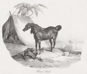 Koń arabski (An Arabian Horse) autorstwa Theodore Gericault