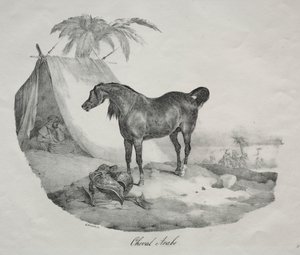 Koń arabski. autorstwa Theodore Gericault