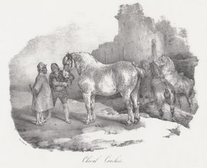 Cheval Cauchois (rdzenna rasa koni z Caux w Normandii) autorstwa Theodore Gericault