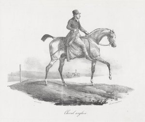 Koń angielski (An English Horse) autorstwa Theodore Gericault