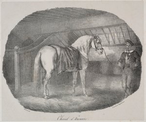 Koń hanowerski. autorstwa Theodore Gericault
