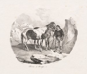 Konie Owernii autorstwa Theodore Gericault