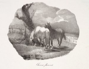 Konie flamandzkie autorstwa Theodore Gericault