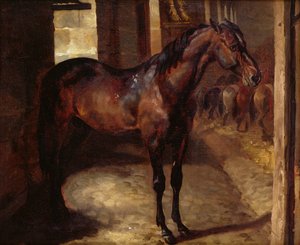Dark Bay Horse w stajni