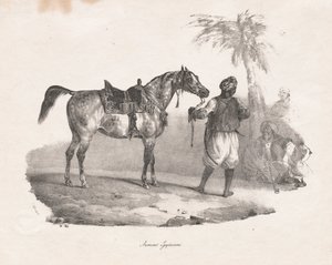 Egipska klacz autorstwa Theodore Gericault