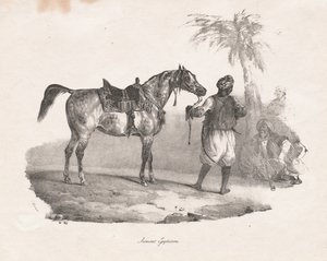 Klacz egipska, 1822. autorstwa Theodore Gericault
