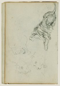Cztery badania nad lwami autorstwa Theodore Gericault
