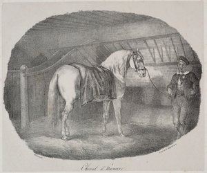 Koń z Hanoweru autorstwa Theodore Gericault