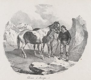 Konie Owernii, 1822. autorstwa Theodore Gericault