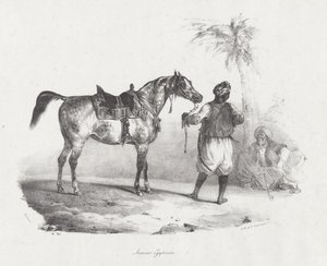 Klacz egipska (An Egyptian Mare) autorstwa Theodore Gericault
