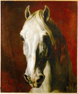 Głowa białego konia autorstwa Theodore Gericault