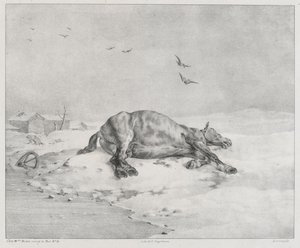 Martwy koń (The Dead Horse) autorstwa Theodore Gericault