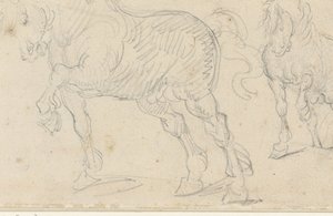 Studia dotyczące koni autorstwa Theodore Gericault
