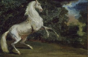 Pyszałkowaty koń autorstwa Theodore Gericault