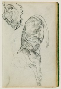 Lew siedzący, głowa lwicy autorstwa Theodore Gericault