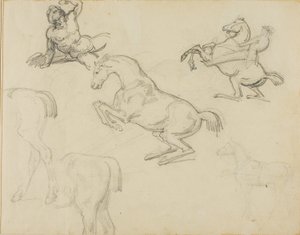Szkice: Leżący akt, jeździec i różne konie autorstwa Theodore Gericault