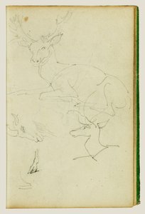 Studium siedzącego jelenia, jelonka i głowy kozy autorstwa Theodore Gericault