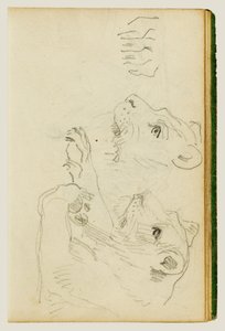 Badania głowy i przednich łap lwicy autorstwa Theodore Gericault