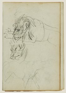 Trzy badania nad lwami autorstwa Theodore Gericault
