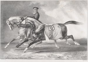 Dwa konie o umaszczeniu szarym cętkowanym podczas treningu autorstwa Theodore Gericault