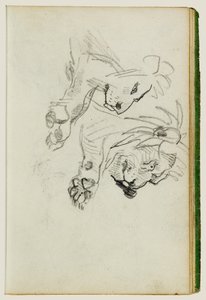 Dwa badania dotyczące lwów autorstwa Theodore Gericault