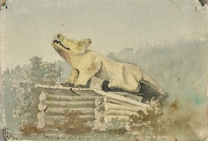 Indiański grób. Wilczy totem nad grobem Indianina, Wrangell autorstwa Theodore J. Richardson