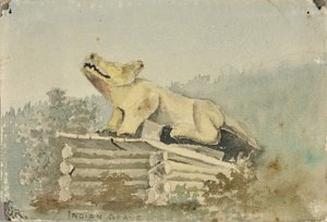 Indyjski grób. Wilczy totem nad grobem medyka, Wrangell, ca. 1880-1914.