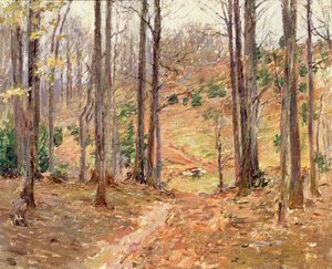 Virginia Woods, 1893 autorstwa Theodore Robinson