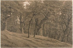 W lesie Fontainbleau autorstwa Theodore Rousseau