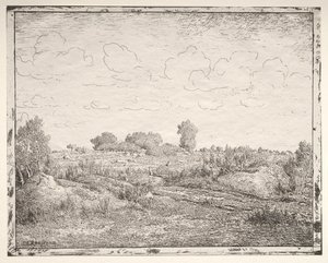 Równina roślin w Biau autorstwa Theodore Rousseau