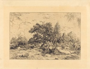 Widok na płaskowyż Bellecroix autorstwa Theodore Rousseau