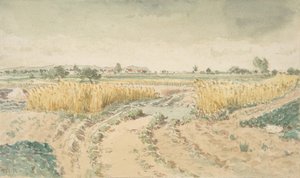 Pola pszenicy, 1865.