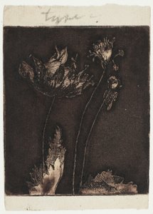 Ostatnie maki autorstwa Theodore Roussel