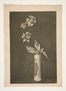Dowód na La Chine (wersja czarno-biała) autorstwa Theodore Roussel