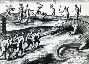 Polowanie na krokodyle na Florydzie, z obrazu Jacquesa le Moyne de Morgues (ok. 1533-przed 1588), autorstwa Theodora de Bry (1528-1598). rytownictwo autorstwa Theodore de Bry