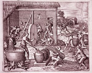 Historia Ameryki: zbieranie trzciny cukrowej i produkcja cukru przez indyjskich niewolników pracujących dla hiszpańskich konkwistadorów (Grawerowanie autorstwa Theodore de Bry